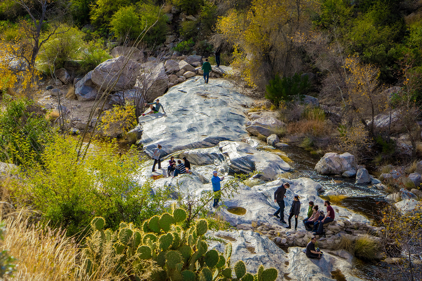 Located in the Catalina Foothills area is Sabino Canyon Recreation Area. A popular place for residents and visitors to hike, walk and enjoy the beauty of the Santa Catalina mountains.