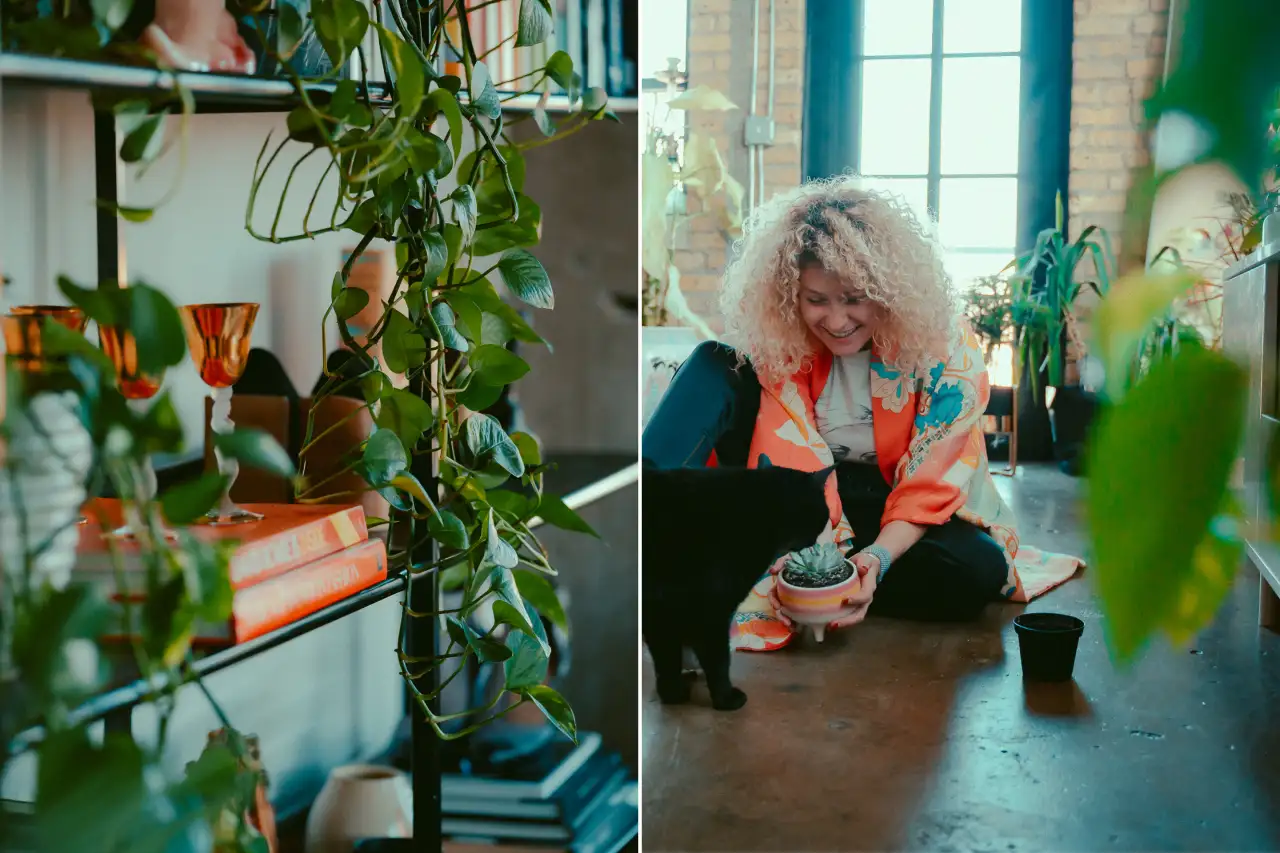 Millennials Aren T Buying Homes But They Are Spending Thousands On Houseplants
