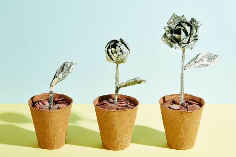 three flowerpots show a plant made of money in successive growth stages, culminating in a rose made of money