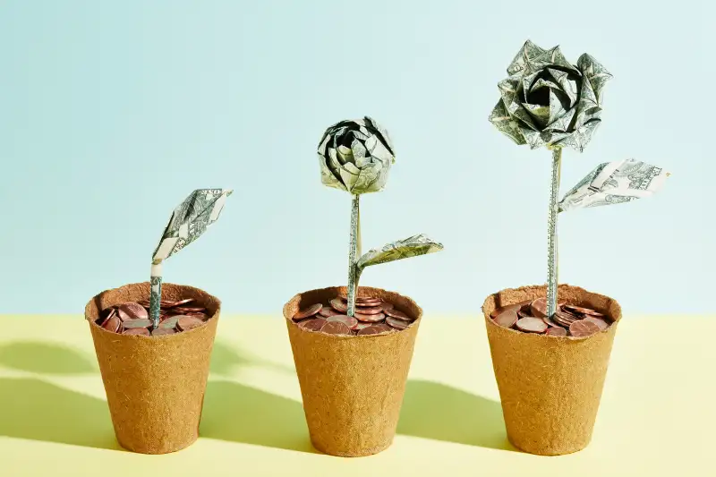 three flowerpots show a plant made of money in successive growth stages, culminating in a rose made of money