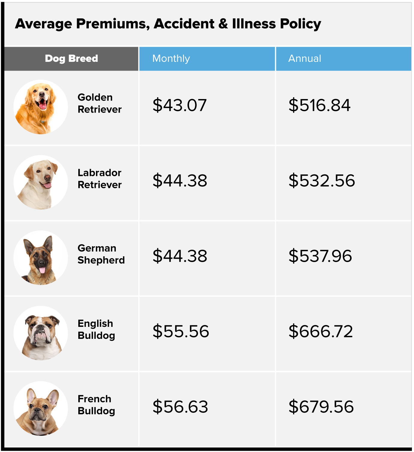 Average premiums, accident and illness policy for dogs chart. Golden retriever $43.07 monthly, $516.84 annually. Labrador retriever $44.38 monthly, $532.56 annually. German shepherd $44.83 monthly, $537.96 annually. English bulldog $55.56 monthly, $666.72 annually. French bulldog, $56.63 monthly, $679.56 annually.