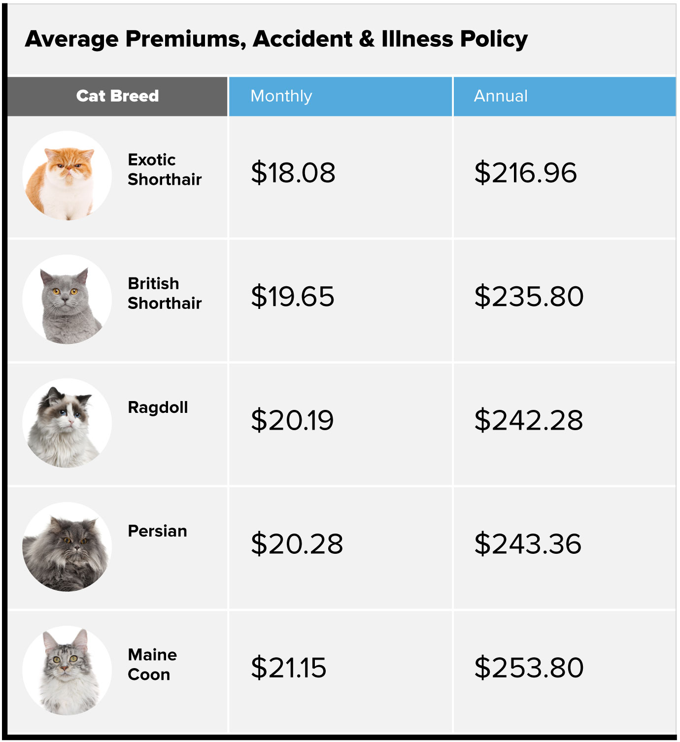 Average premiums, accident and illness policy for cats chart. Exotic shorthair $18.08 monthly, $216.96 annually. British shorthair $19.65 monthly, $235.80 annually. Ragdoll $20.19 monthly, $242.28 annually. Persian $20.28 monthly, $243.36 annually. Maine coon $21.15 monthly, $253.80 annually.