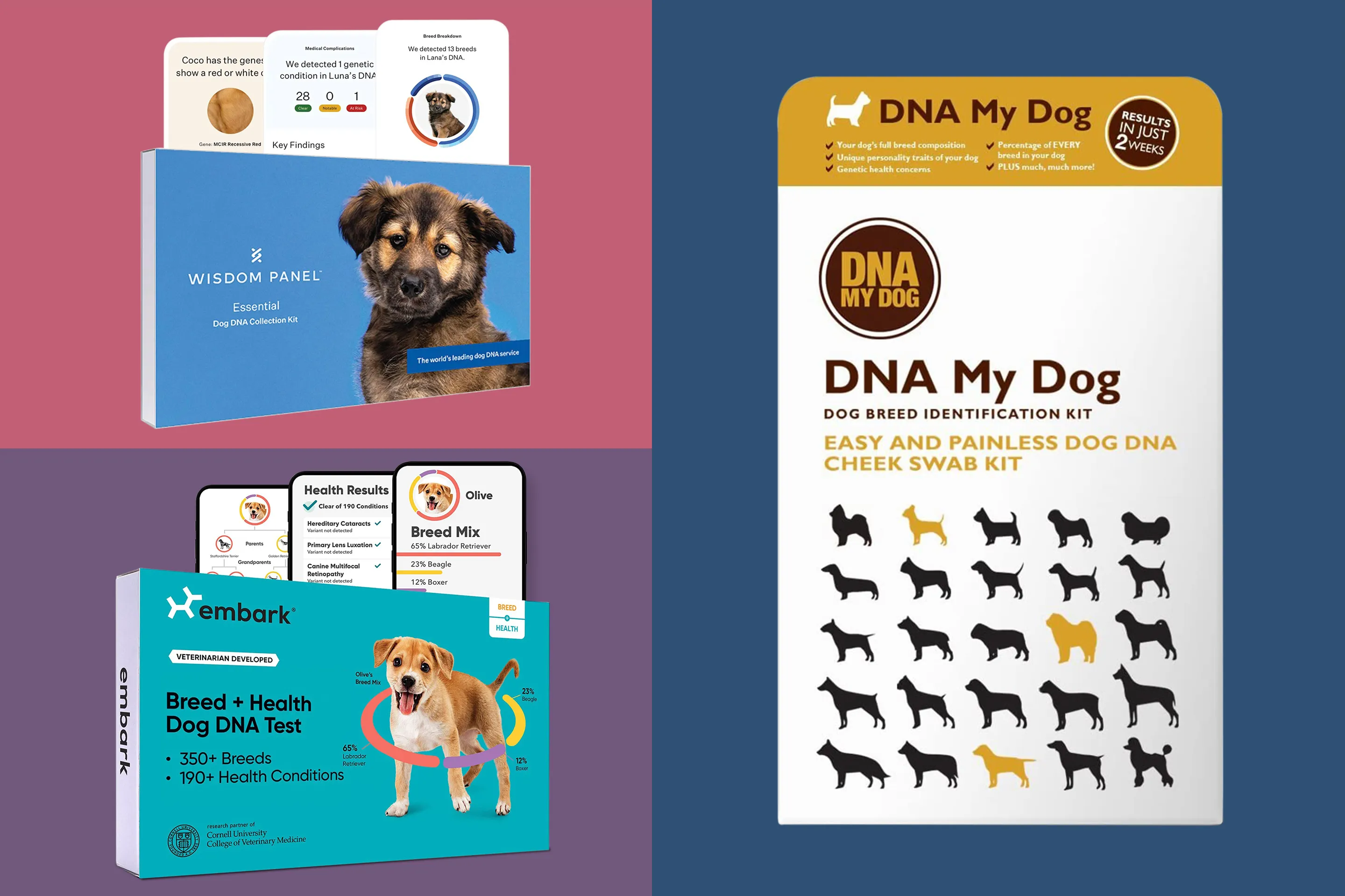 Dog store dna cheap