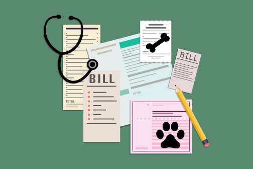 3 Ways You'll Still Pay at the Vet Even if You Have Pet Insurance