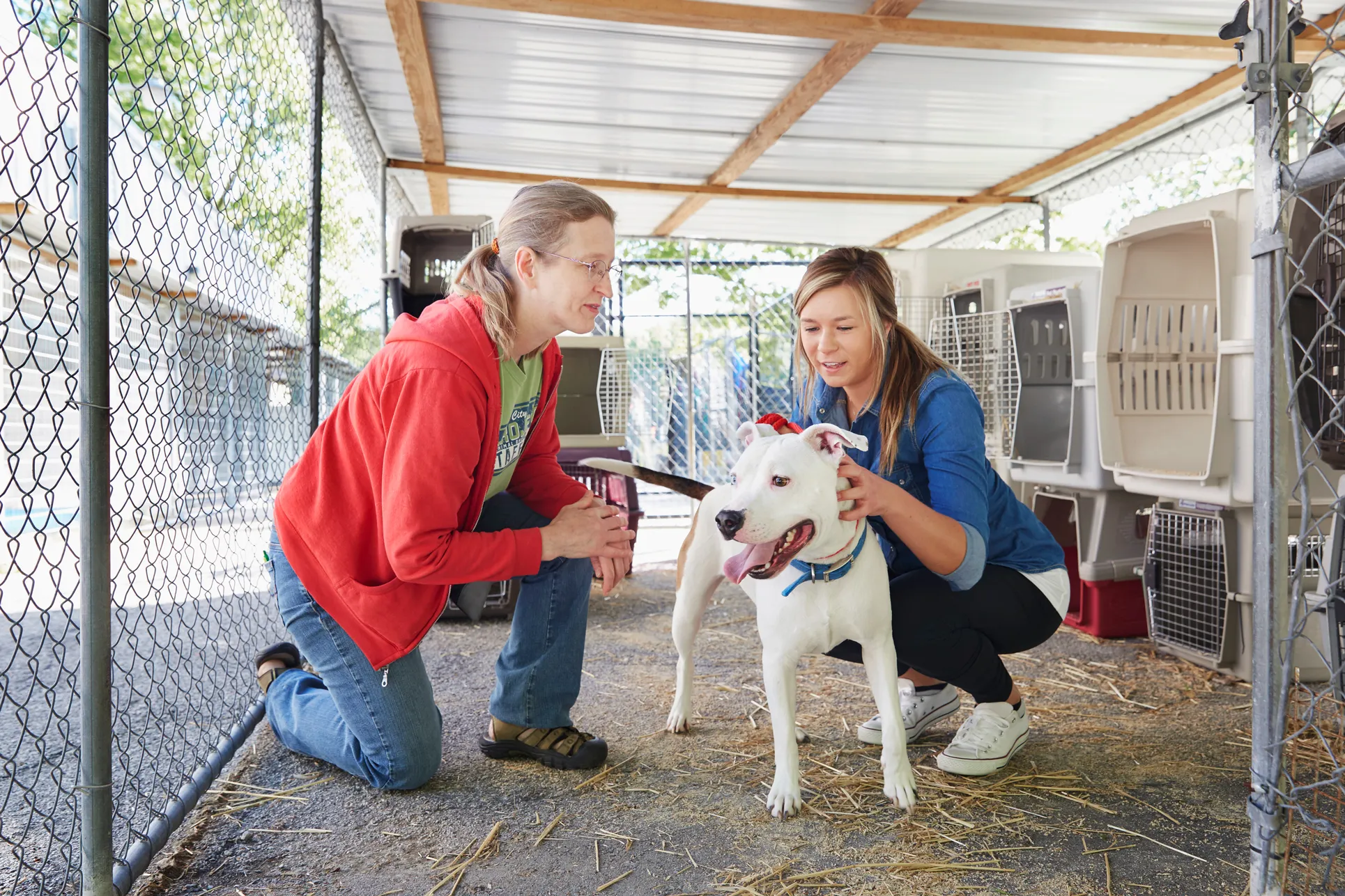 Find a pet adoption center near you