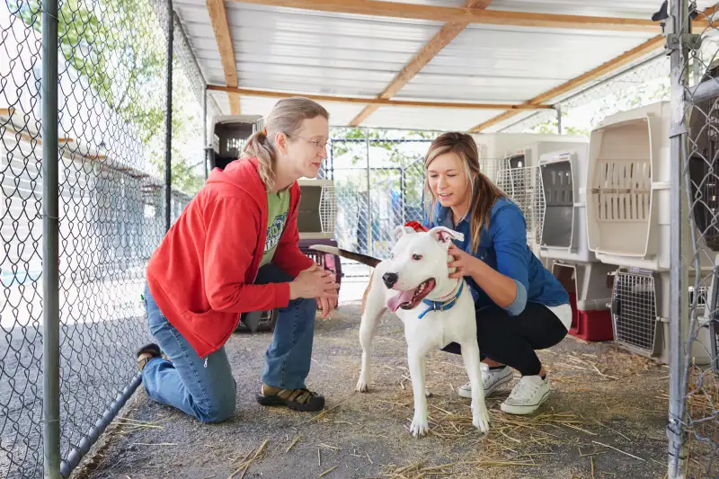 Two women petting a dog at an animal shelter