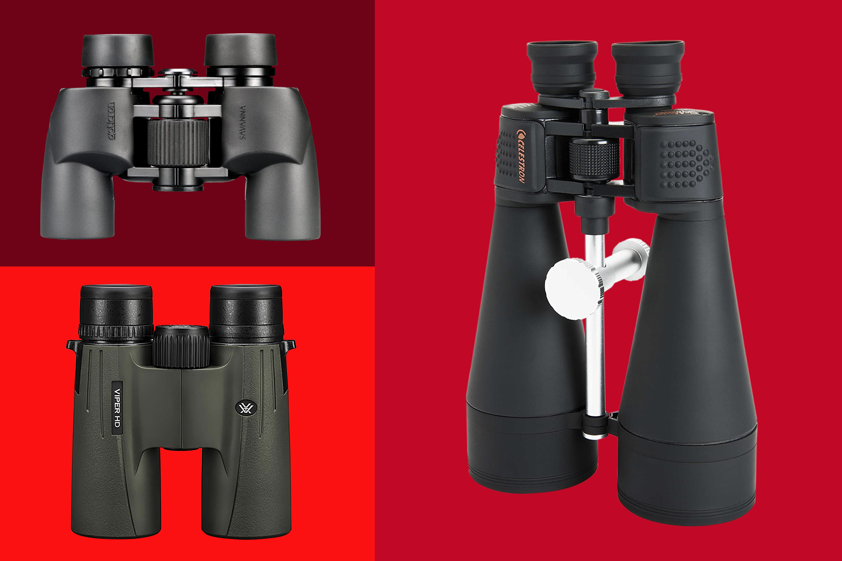 The Best Binoculars for Your Money