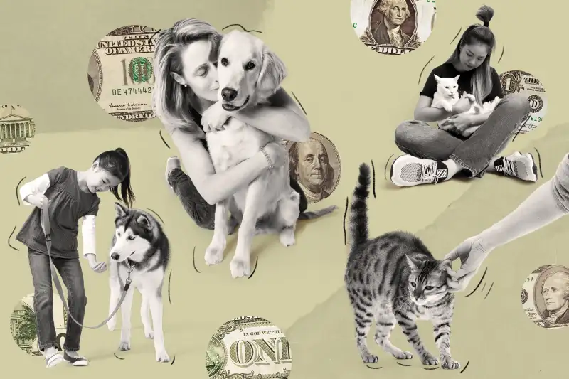 Photo Collage of pets with their owners and money in the background