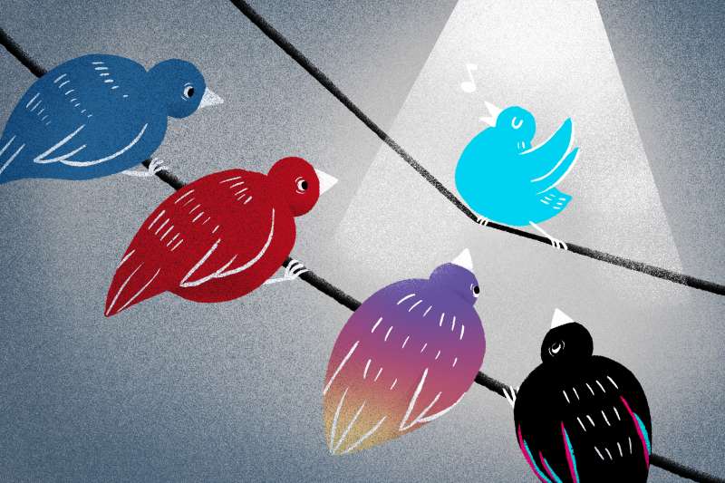 Illustration of different birds representing Facebook, YouTube, Instagram and Tiktok watch as a bird representing Twitter proudly sings a song while it's in the spotlight.