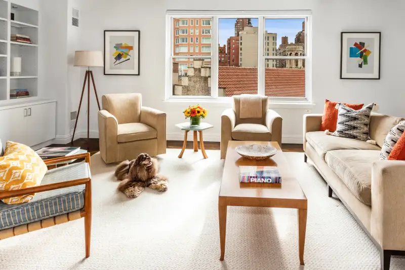 Namaste the dog laying on a living room carpet of a modern apartment