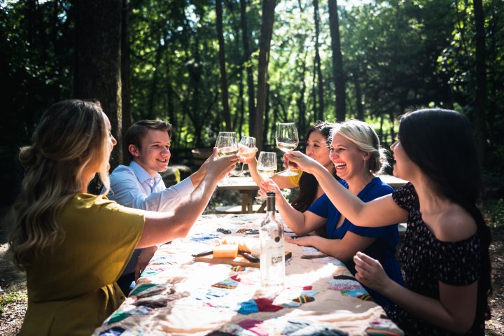 A group of friends cheers with wine glasses in Franklin Tennessee