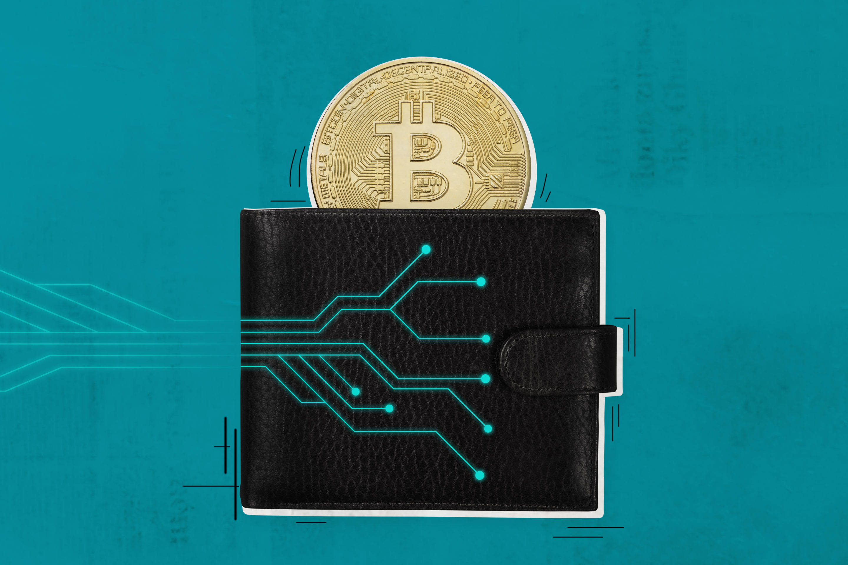 crypto wallet 2023