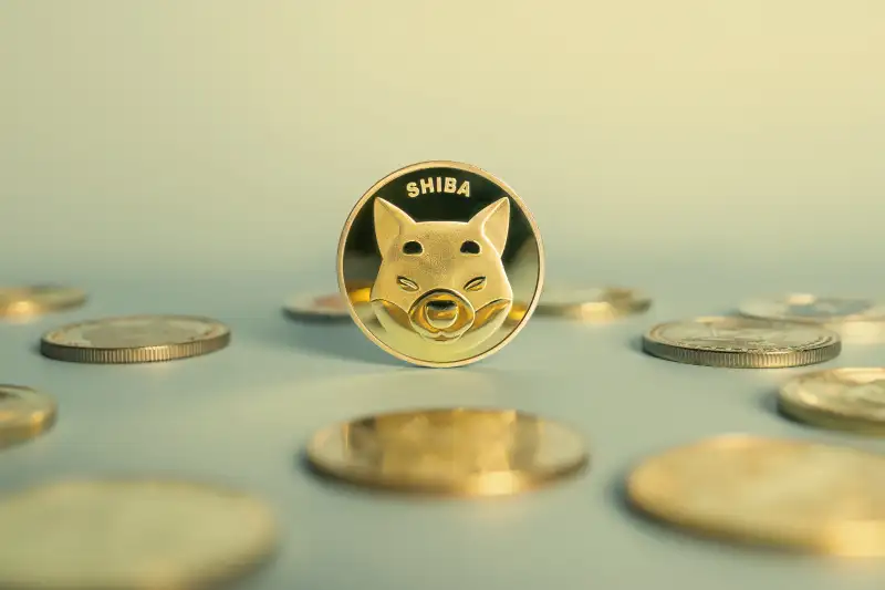 A Shiba Inu or Shib coin in the middle of other cryptocurrency coins