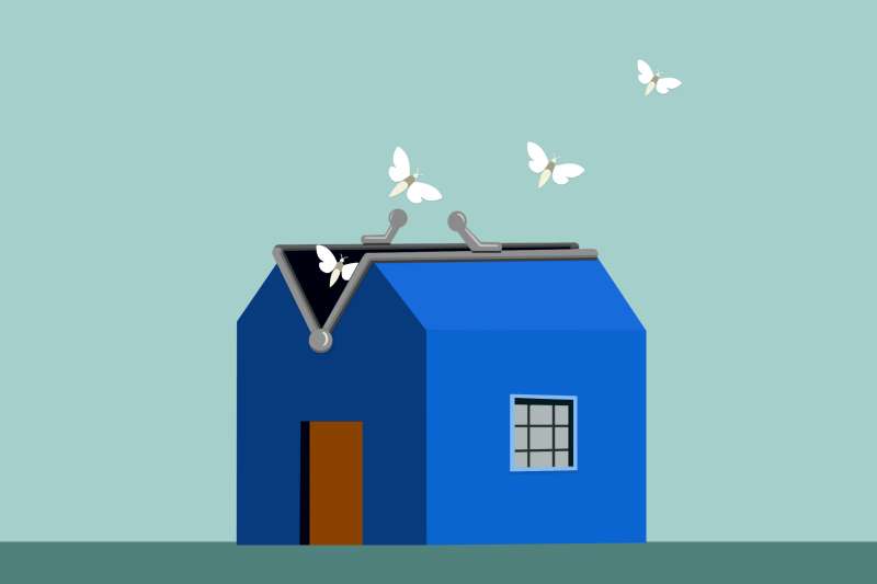 Illustration of moths flying out of an open purse in the shape of a house