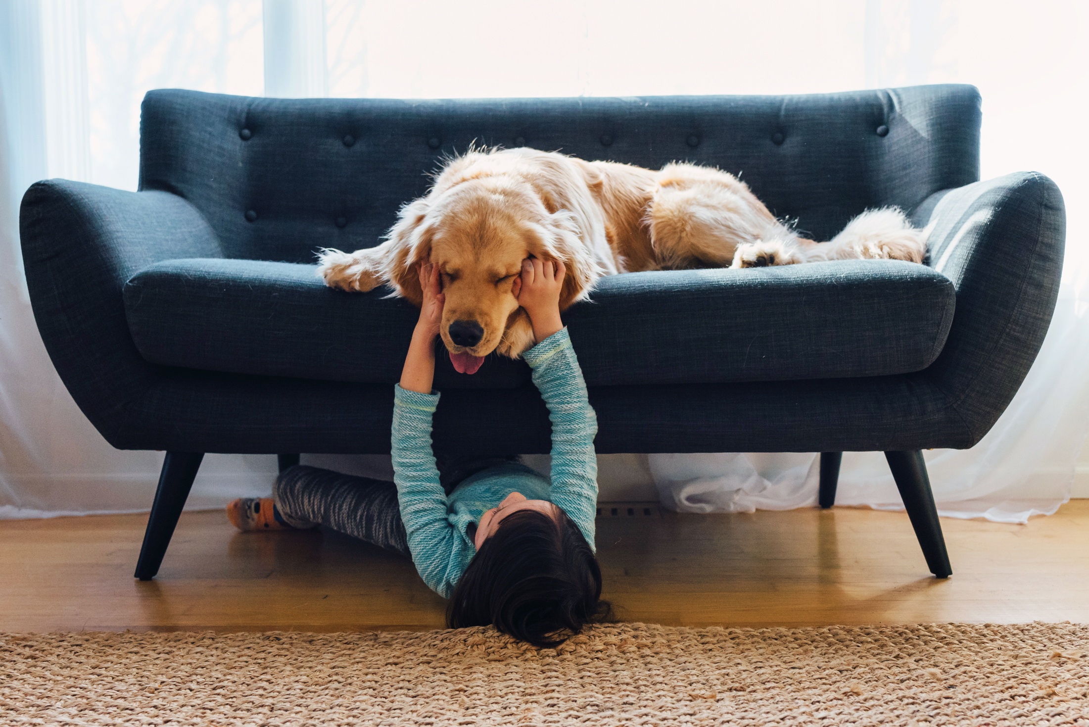 Girl lying under sofa playing with her golden retriever dog