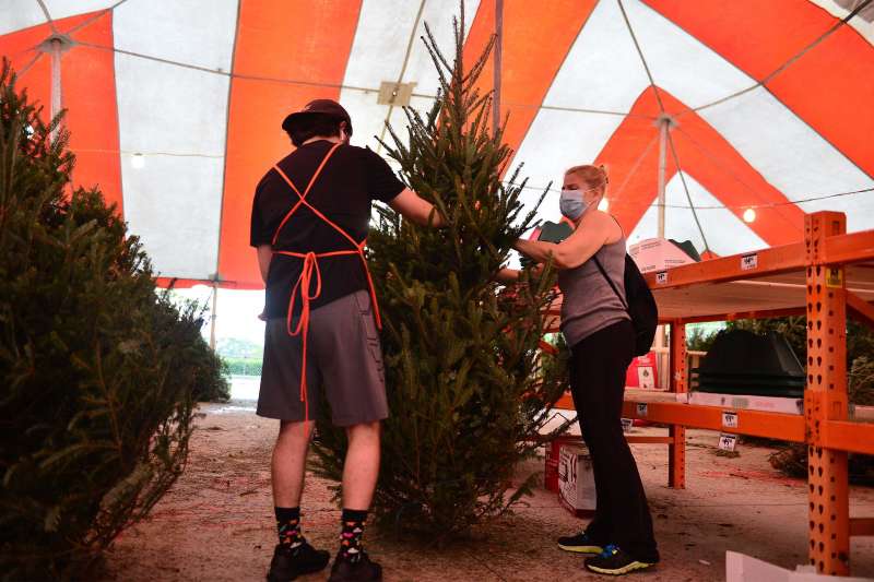 Man And Woman In Christmas Tree Lot Holding A Christmas Tree