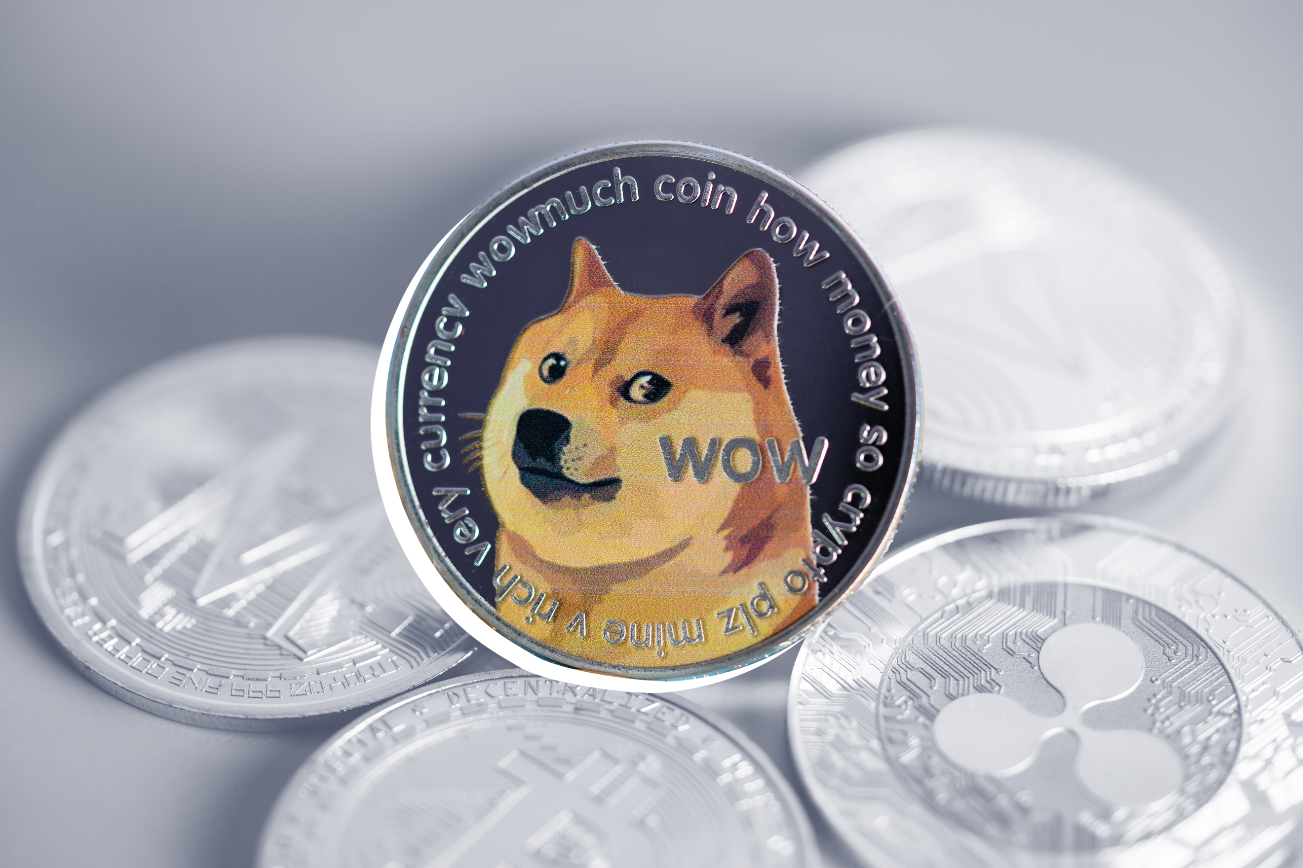 Close up of a Dogecoin DOGE surrounded by other cryptocurrency coins
