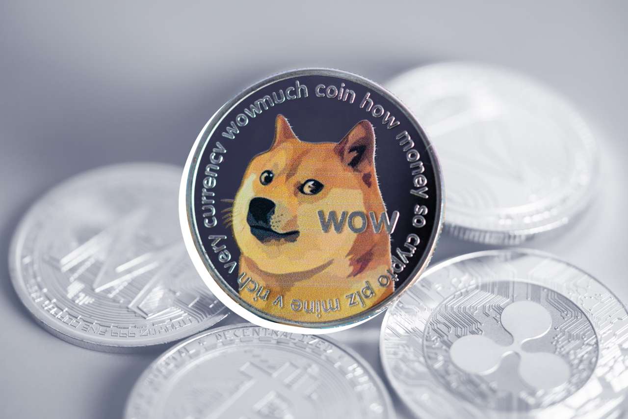 Change dog coins to bitcoins price how many bitcoin are lost forever