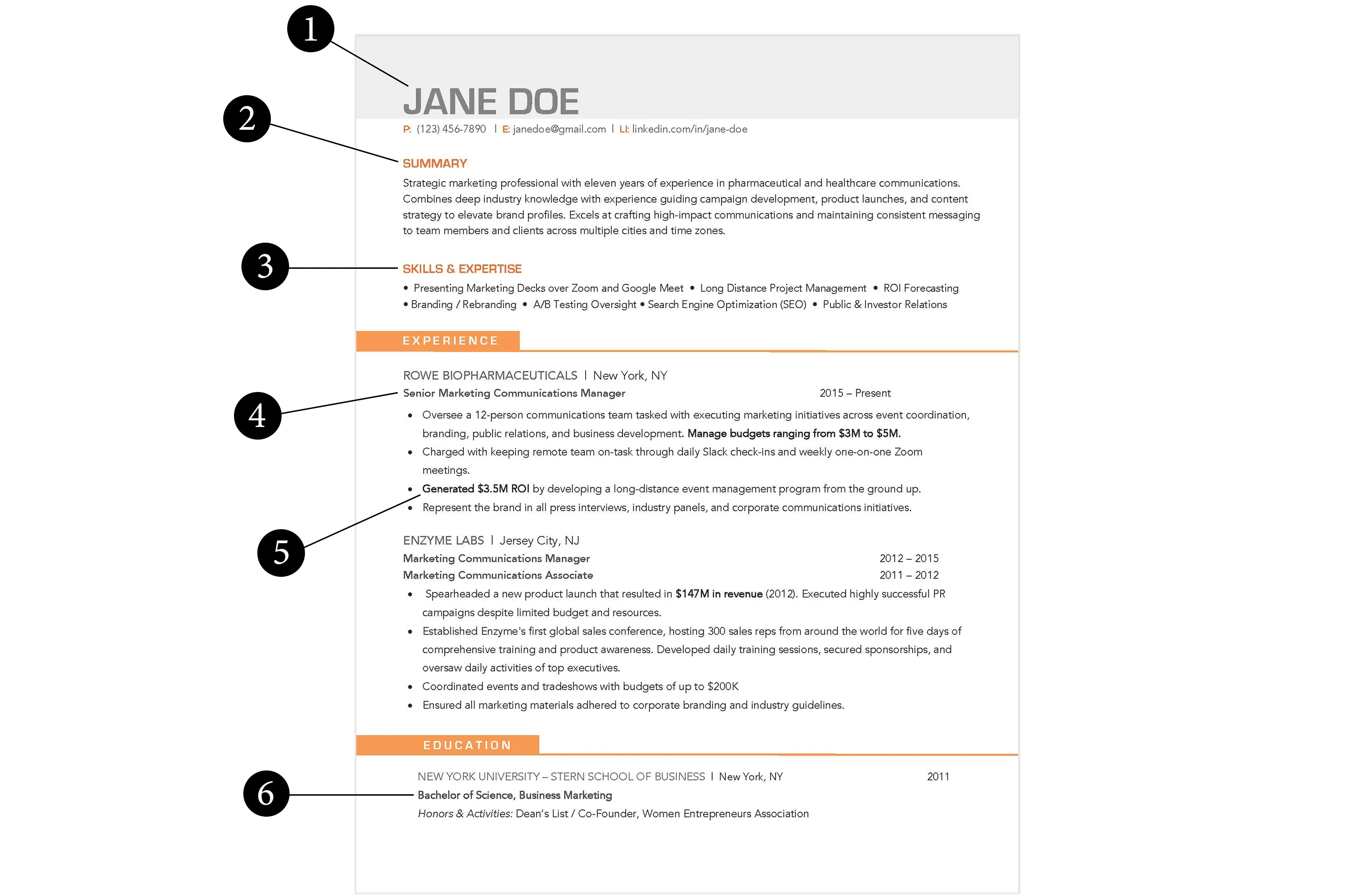 professional-creative-design-medical-resume-resume-template-best