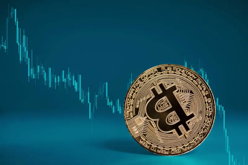 Crypto Investor Tips as Bitcoin Prices Crash in Early 2022 | Money