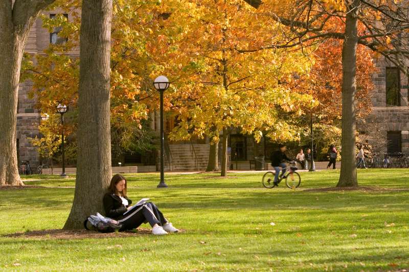 Young female student sitting under tree on campus