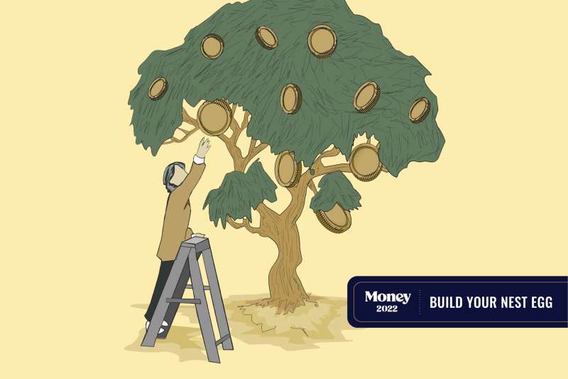 A person is picking coins from an old tree.