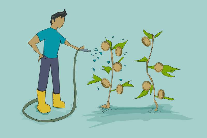 A person is watering a tree with coins.