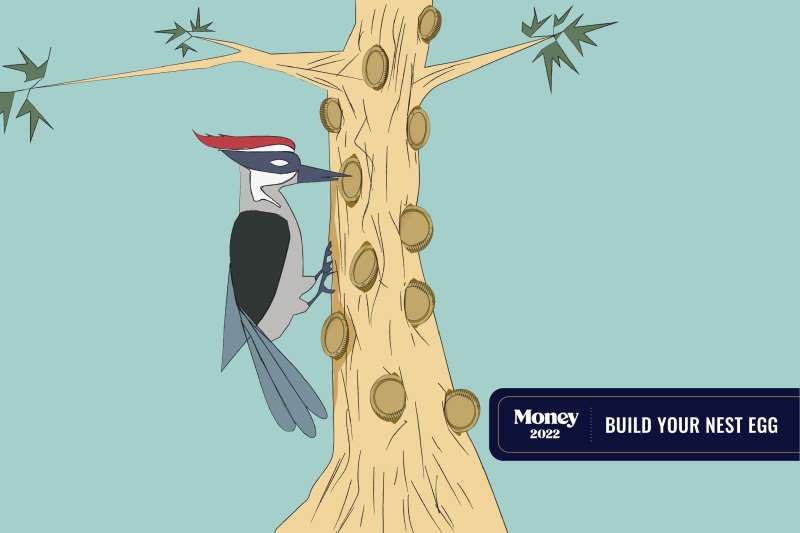 A bird is gleaning coins from a tree.