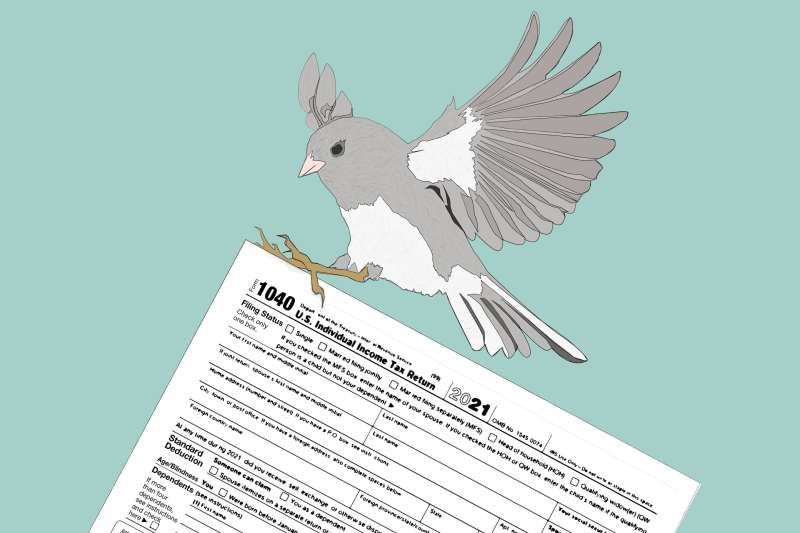 Snowbird Holding A 1040 Tax Form