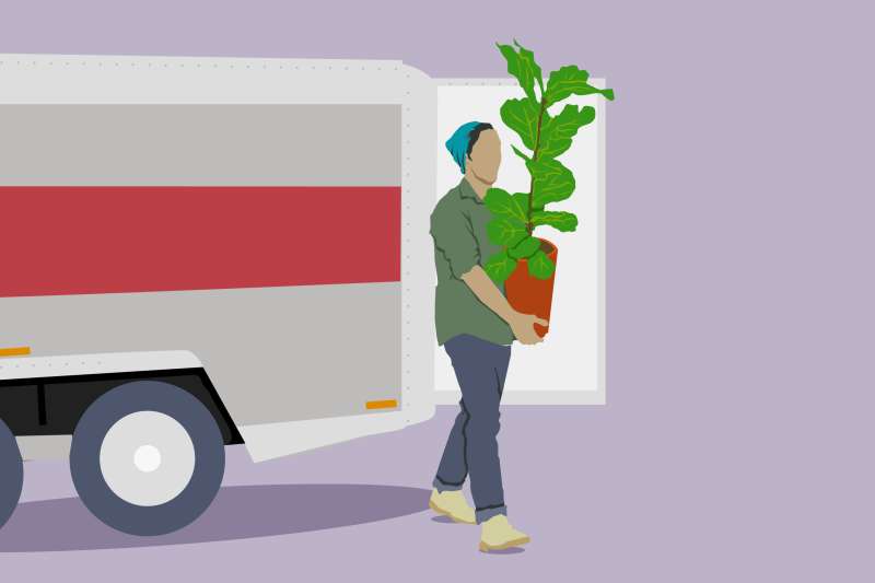 Man In Front Of Moving Wagon Carrying Large Houseplant