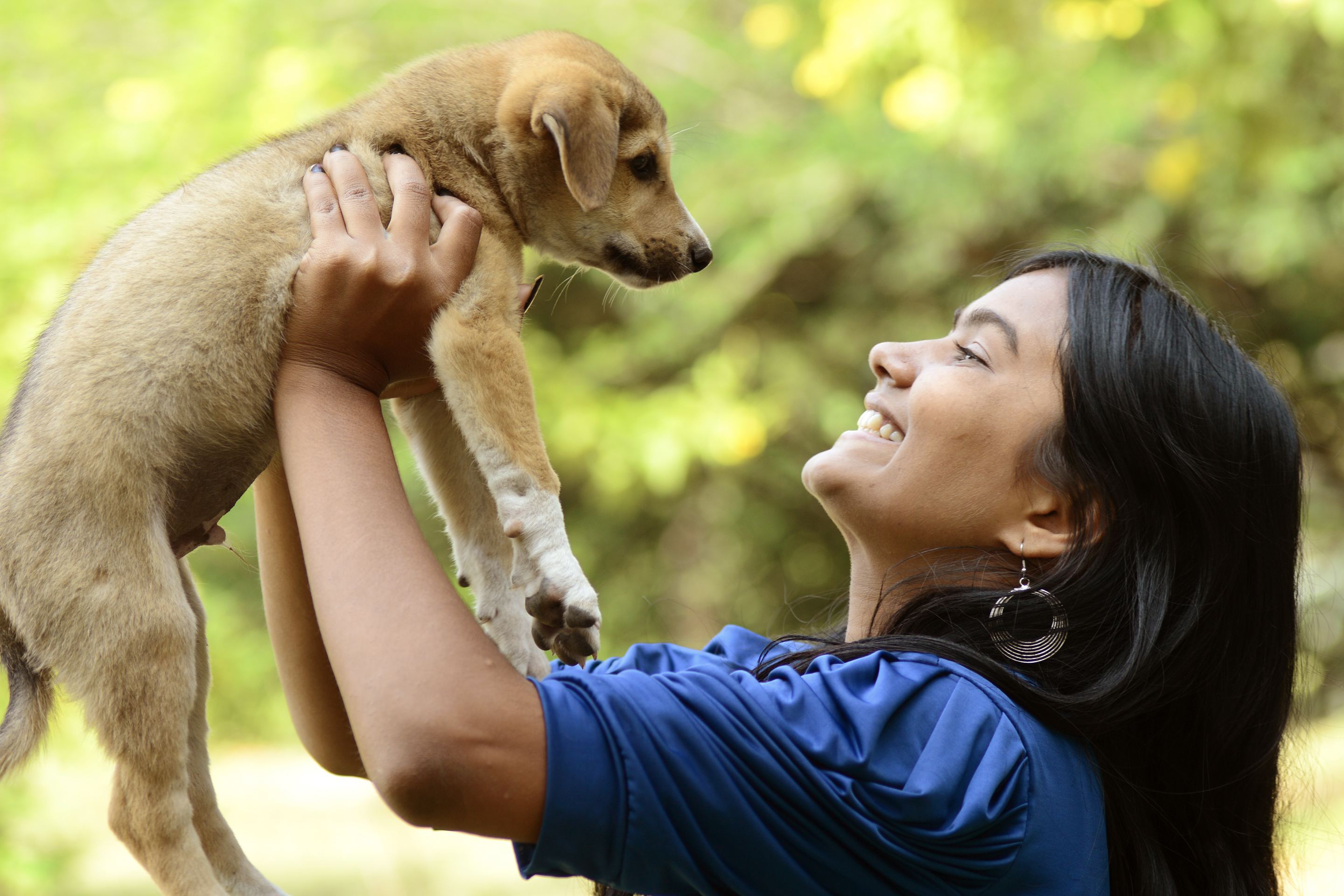 Everything you need to know to adopt a dog | Money