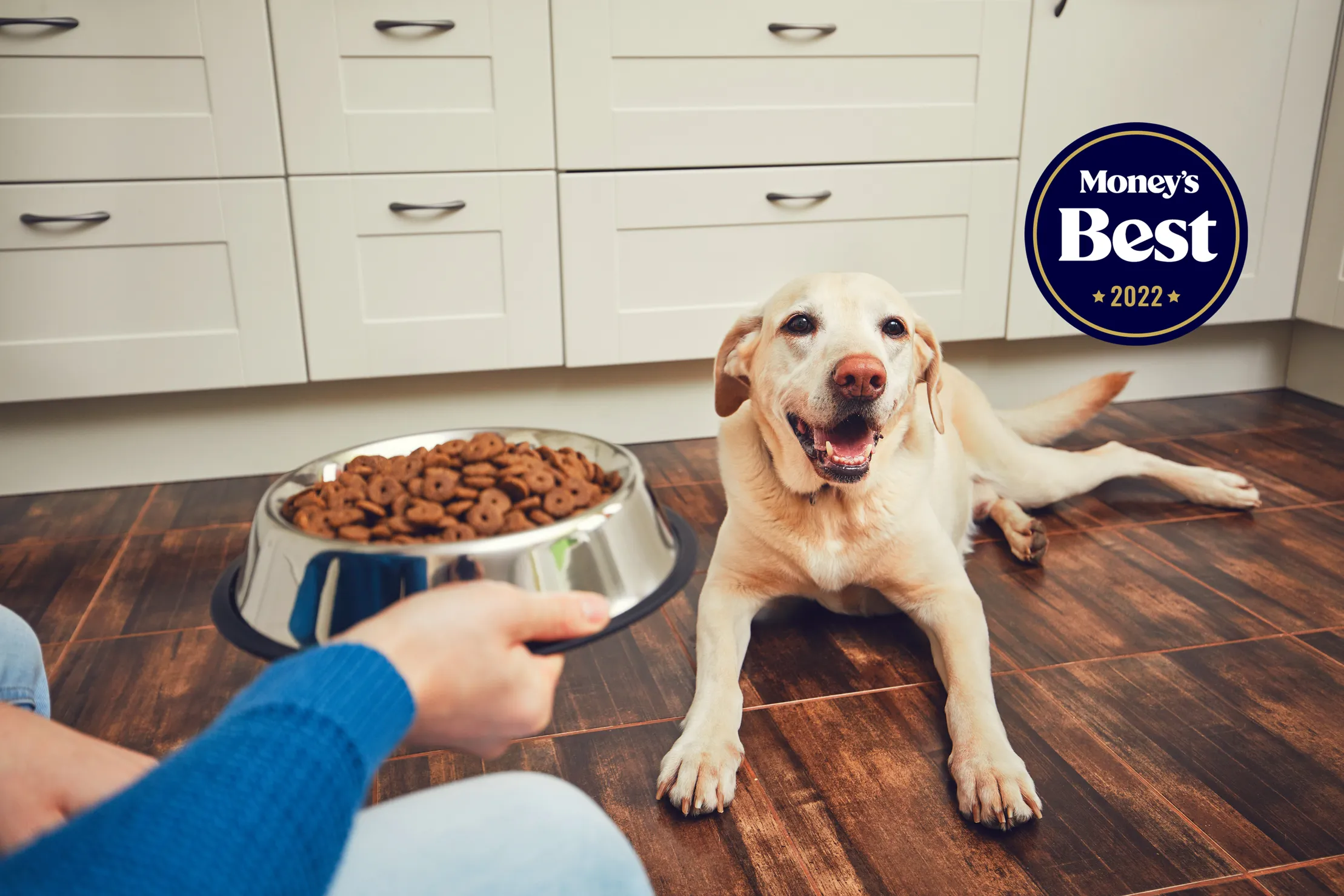 which dry food is best for dogs