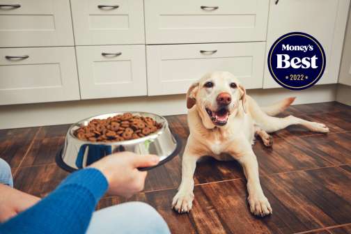 The Best Dog Food of 2022