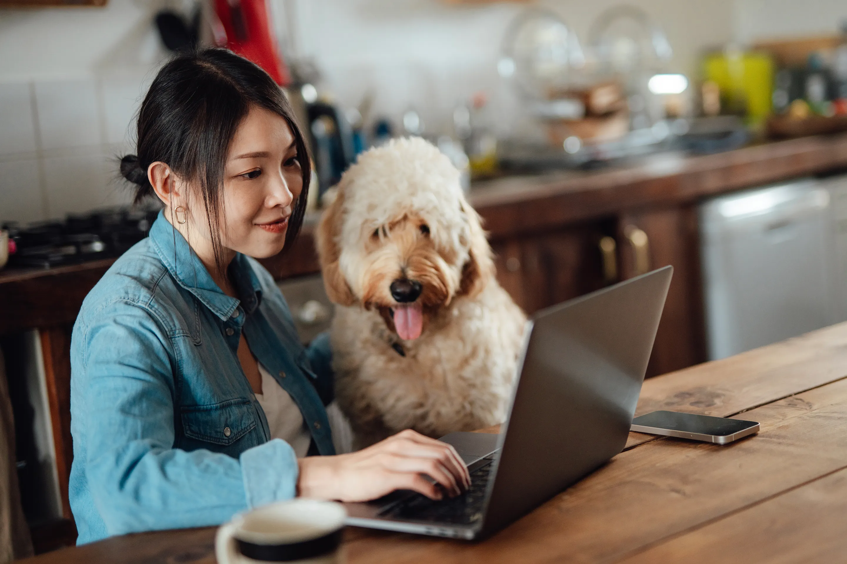 How to Adopt a Dog Online | Money