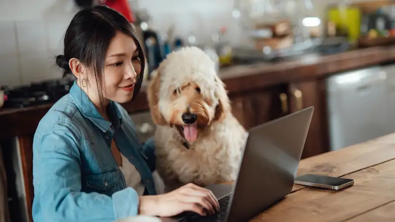 Photo of a women with a dog happily browsing online on her laptop