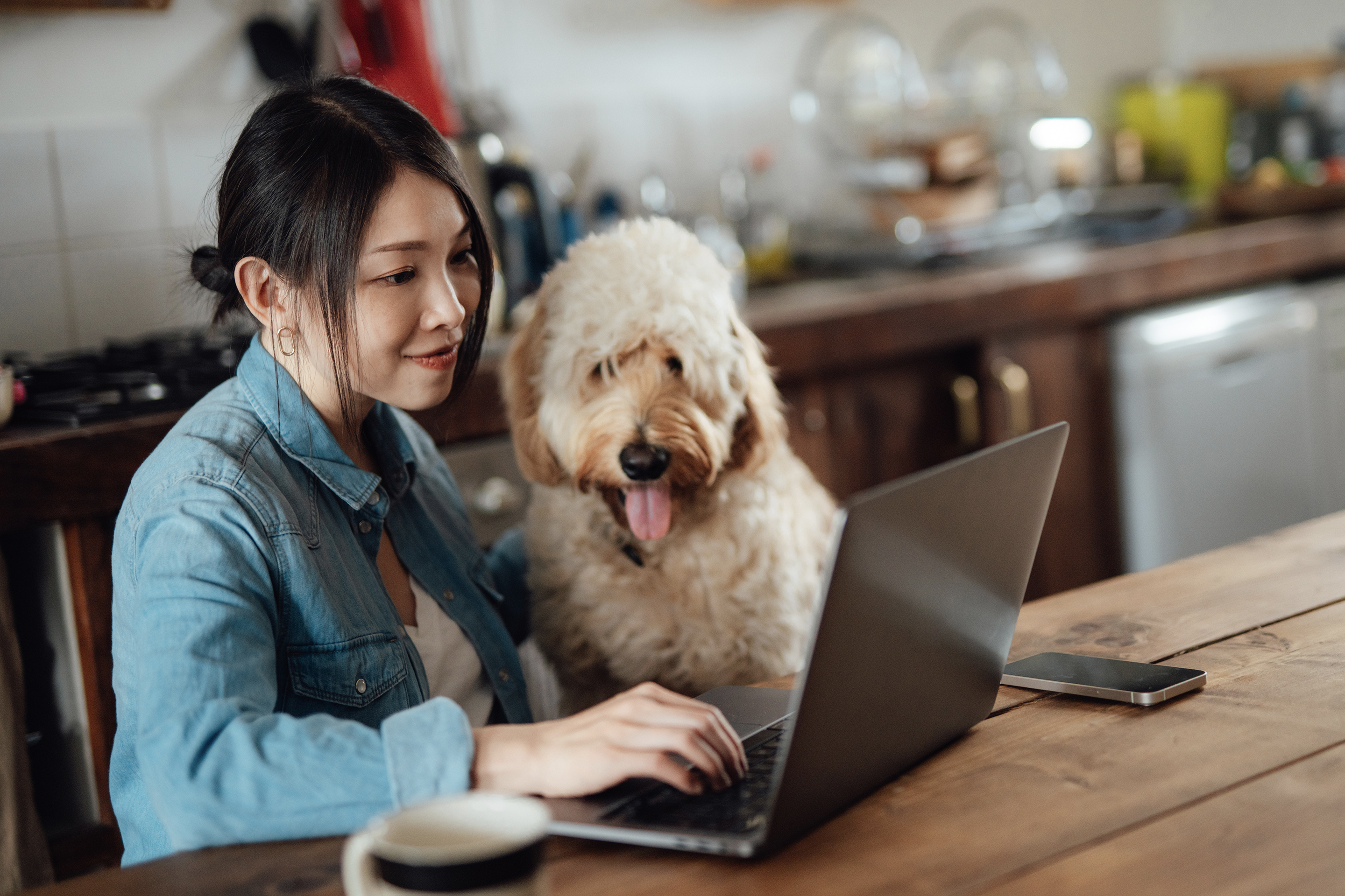 How to Adopt a Dog Online