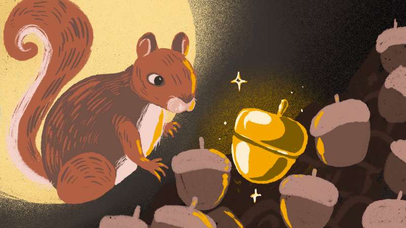 Illustration of a squirrel guarding a pile of acorns and on top is a shiny, golden acorn