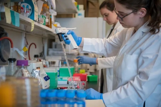 Student working in a laboratory at The Massachusetts Institute Technology (MIT)