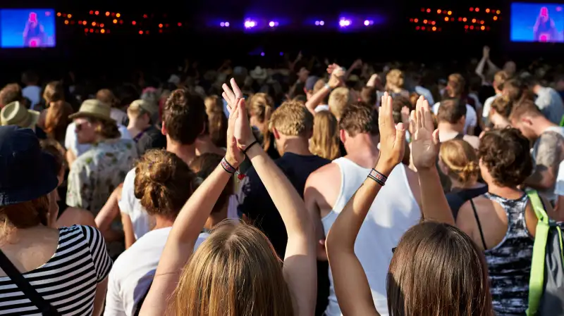 Photo of a summer concert crowd