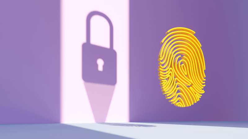 Illustration of a fingerprint and a lock behind it, signifying identity and protection concepts.