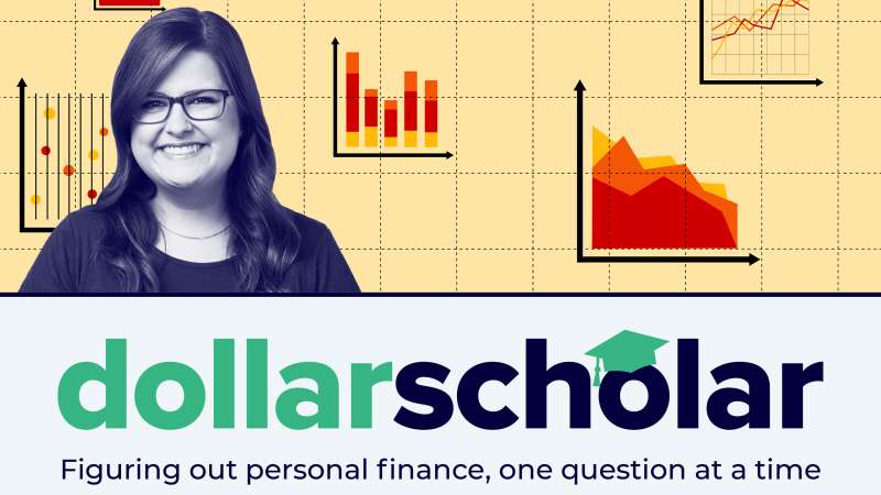 Dollar Scholar banner featuring different colored shareholder reports