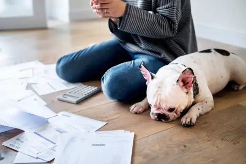 How to Remove Reliant Capital Solutions, LCC (RCS) from Your Credit