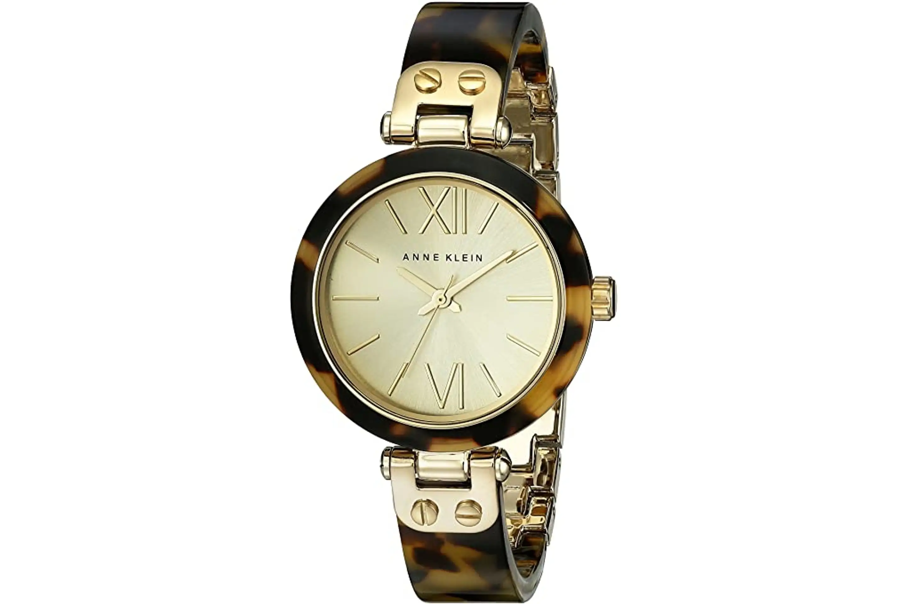 Anne Klein Women's Resin Bangle Watch