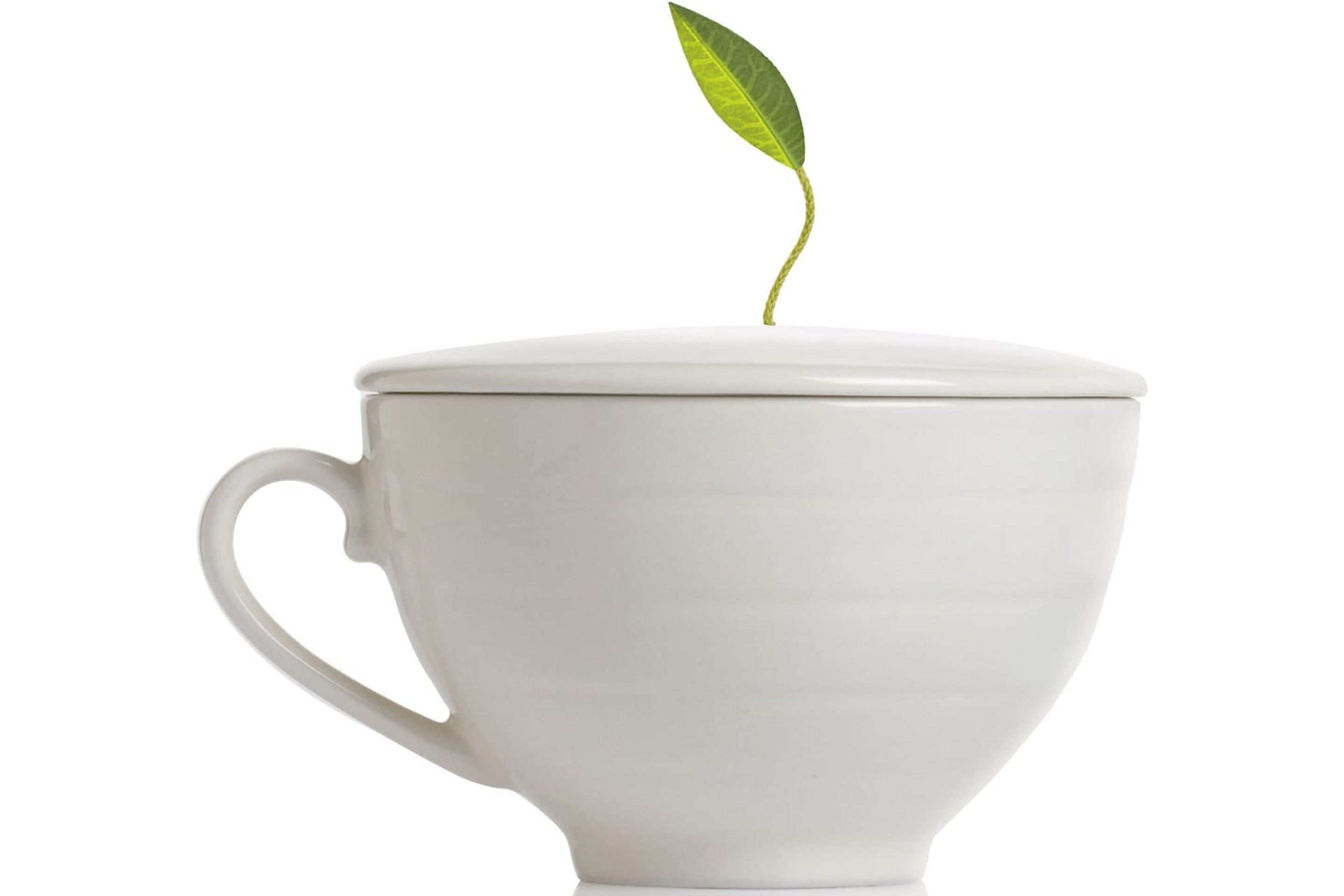 Tea Forte Cafe Cup Porcelain Tea Cup and Lid