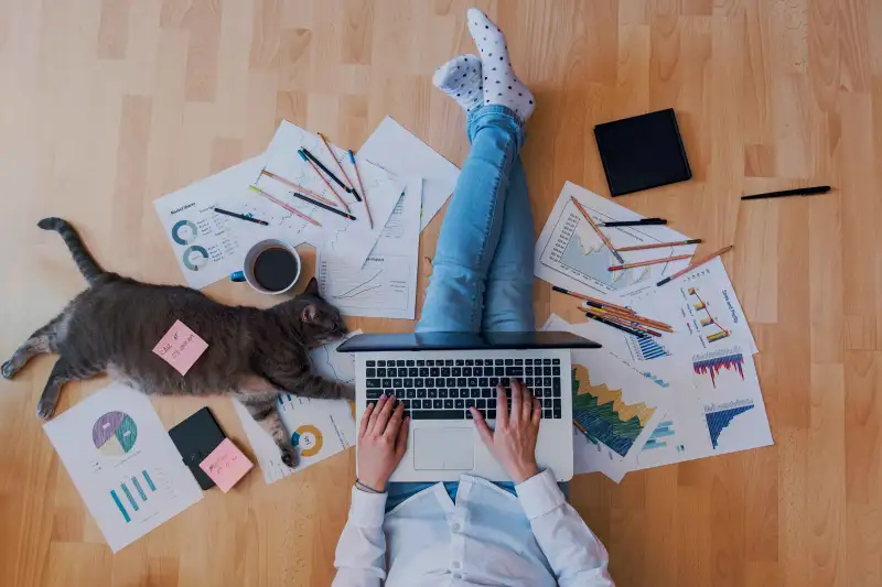 Person sitting on floor with laptop next to a cat surrounded by spreadsheets