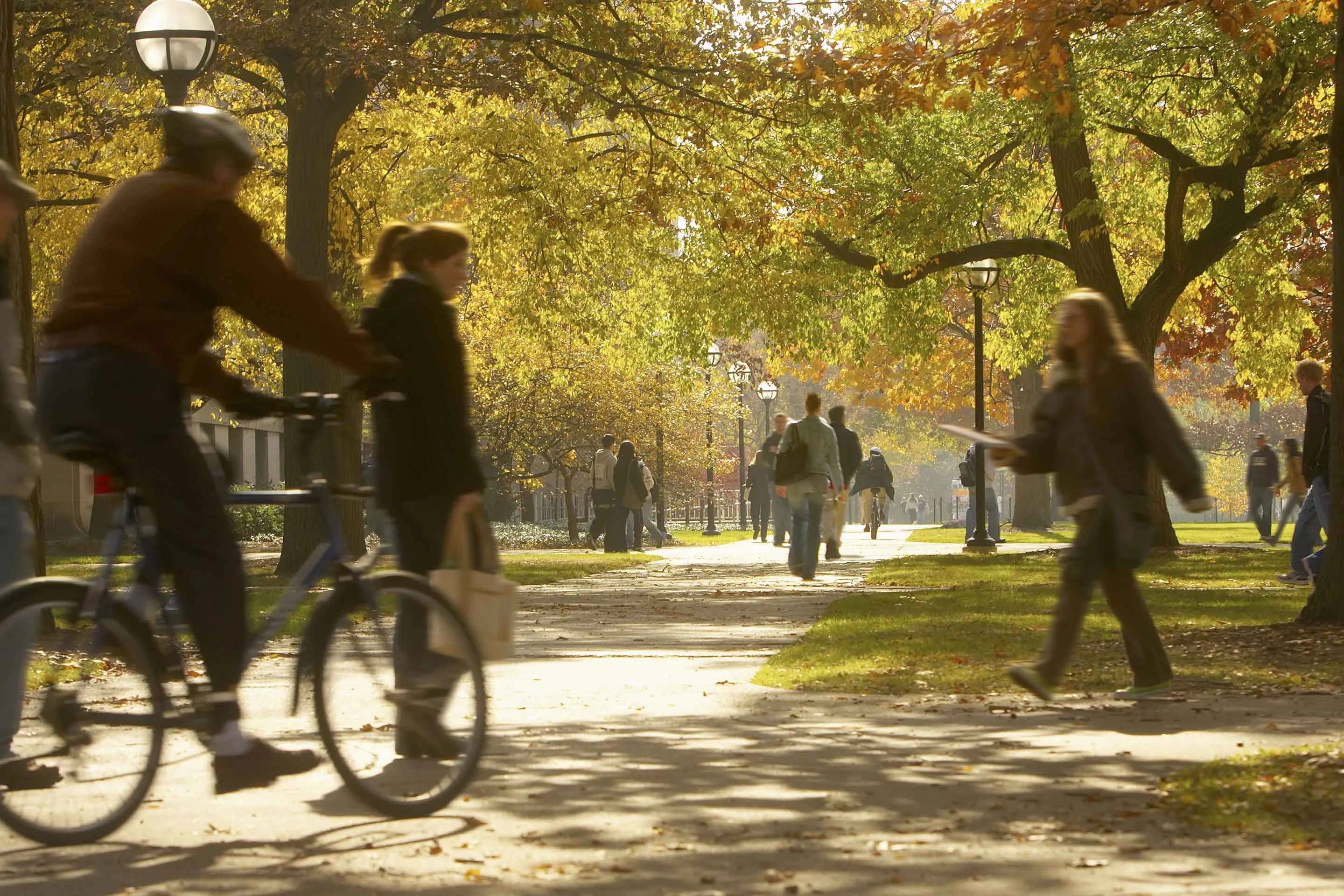 Federal Student Loan Borrowers Are in Financial Trouble Despite Paused Payments: NY Fed