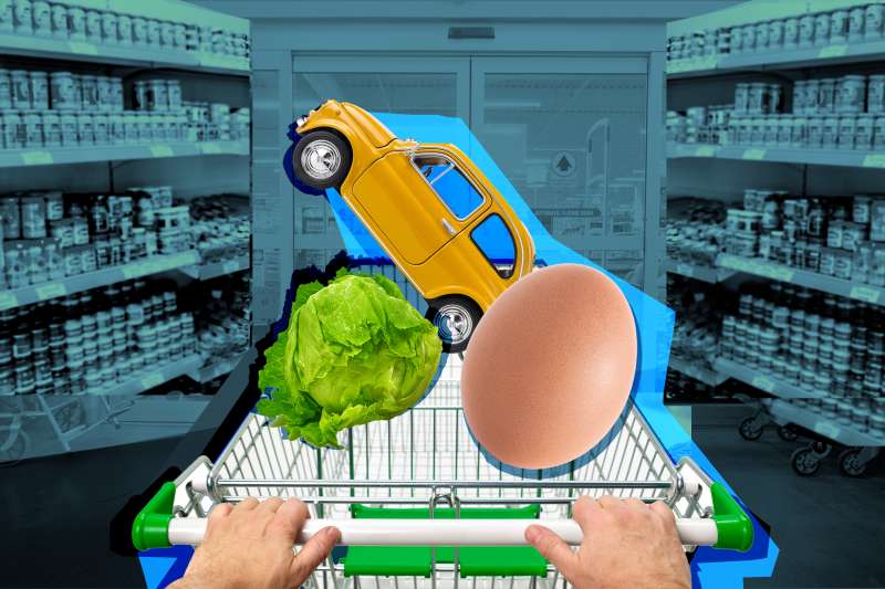 Shopping cart 1st person view with egg, cabbage, and car in the cart