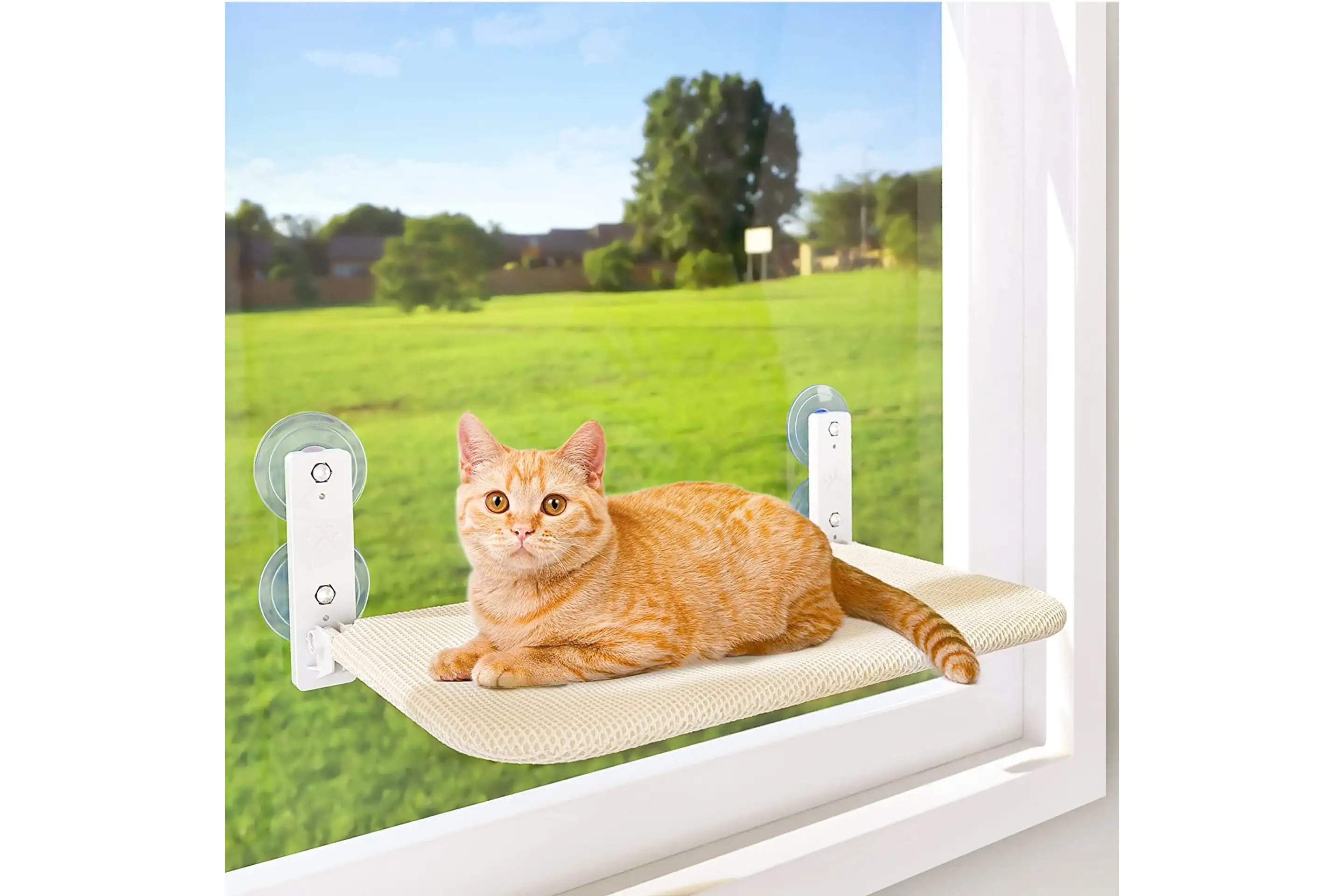 Cordless Cat Window Perch