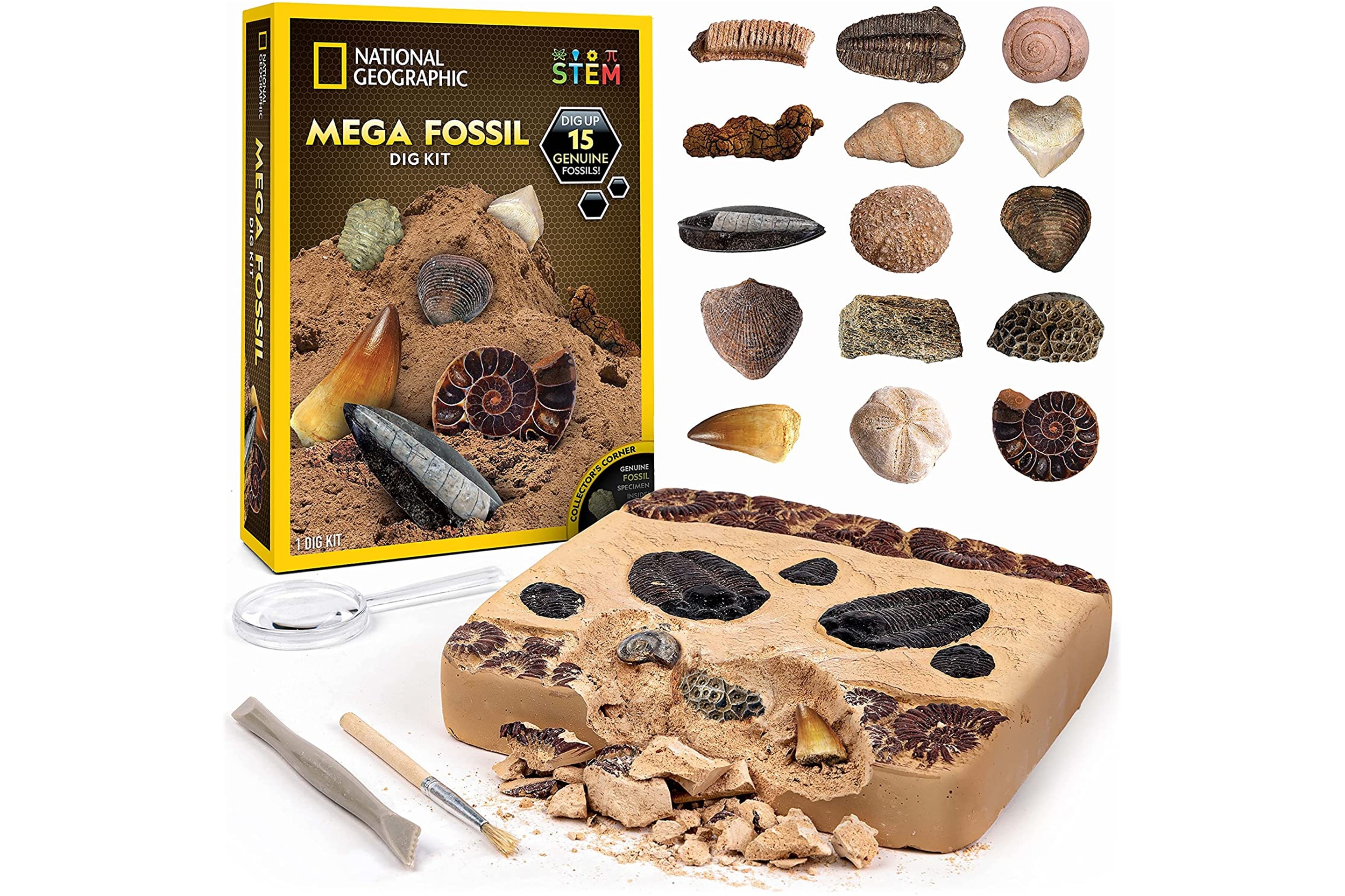 Mega Fossil Excavation Kit