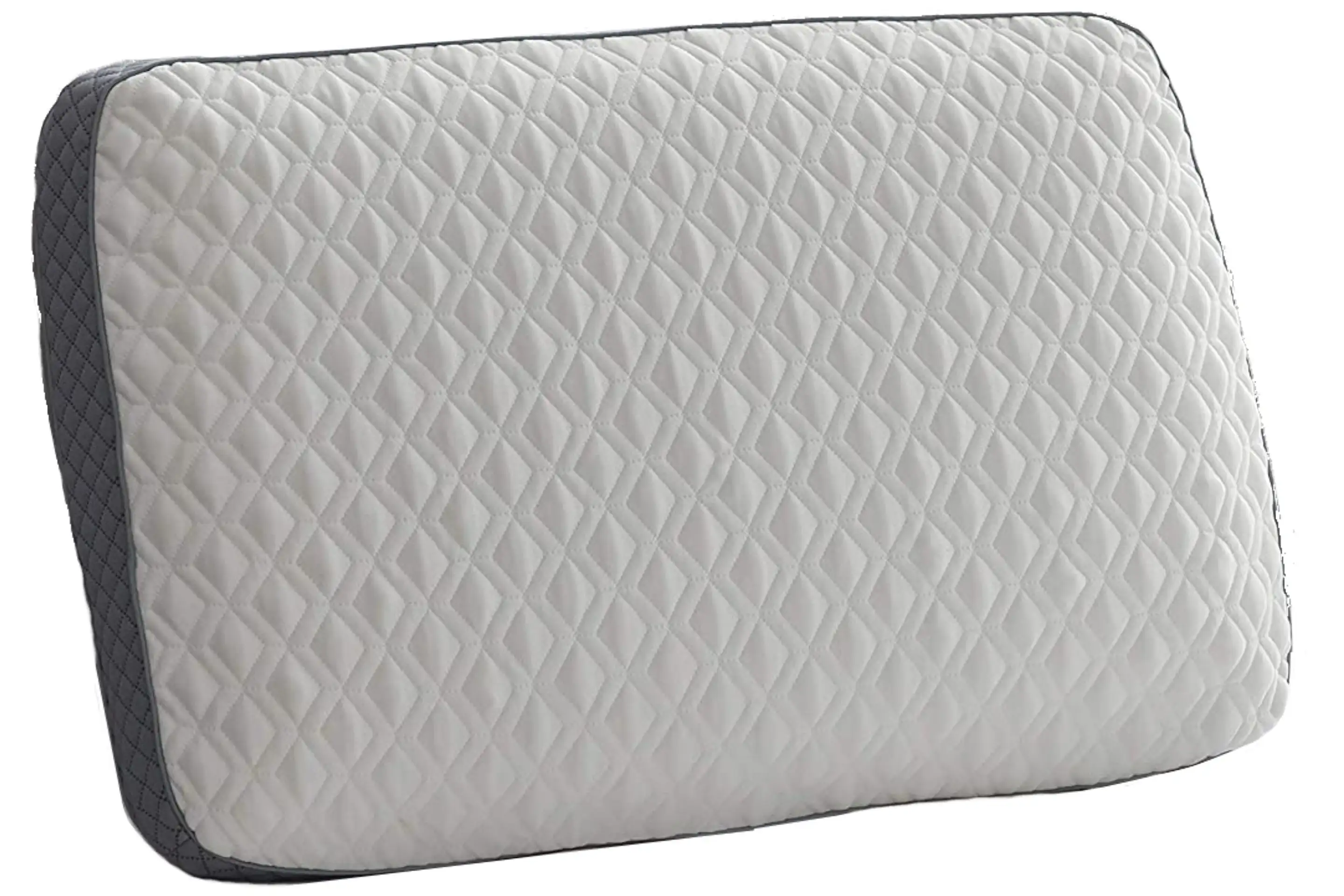 Sealy Molded Memory Foam Pillow